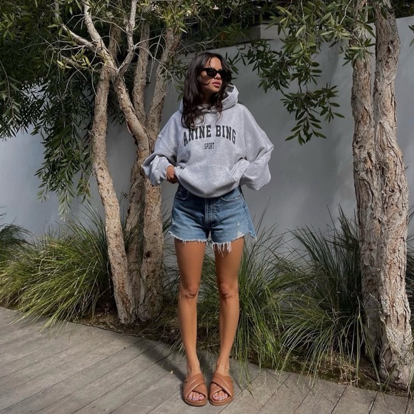 NWT Anine Bing Sport Harvey Oversized Sweatshirt Hoodie in Heather Gray Size S - Picture 3 of 13